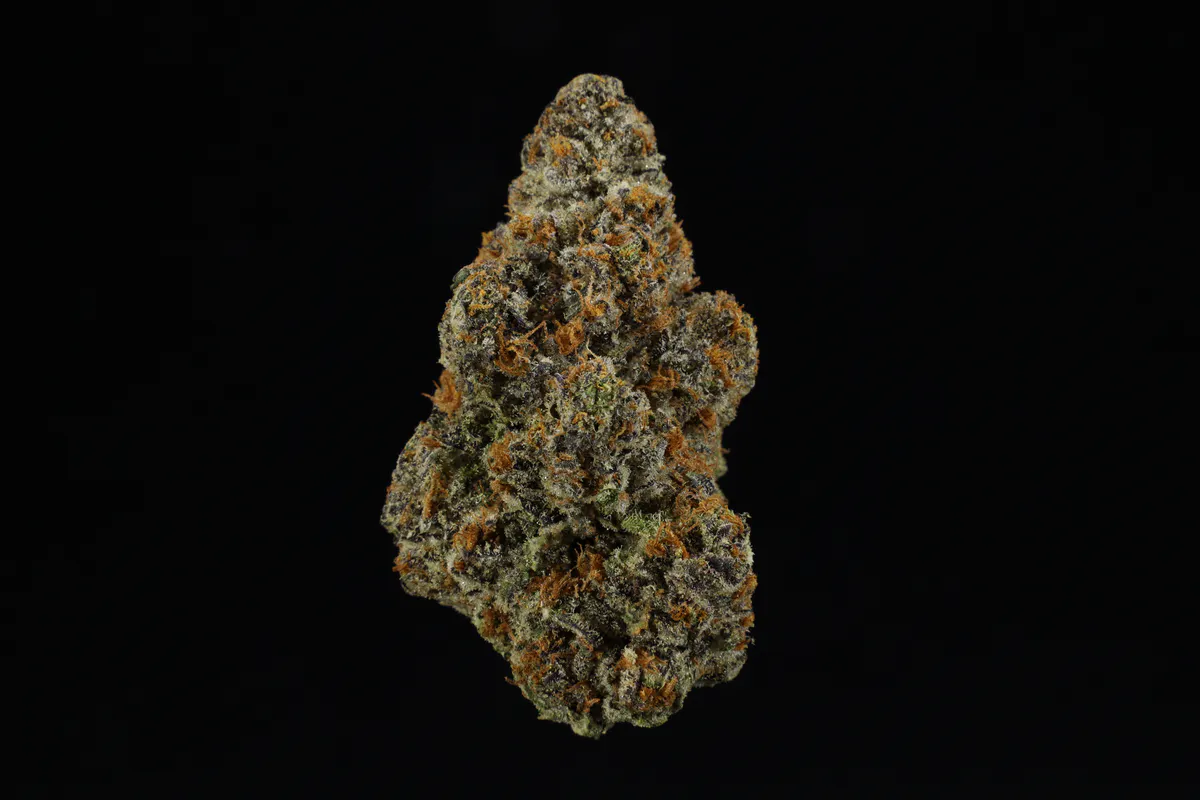 UpNorth - UpNorth - Lemon Tree - 3.5g Flower Main Image