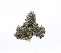 Black Cherry Gelato - 3.5g