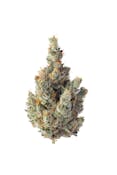 SENSE | GMO | FLOWER | 3.5G
