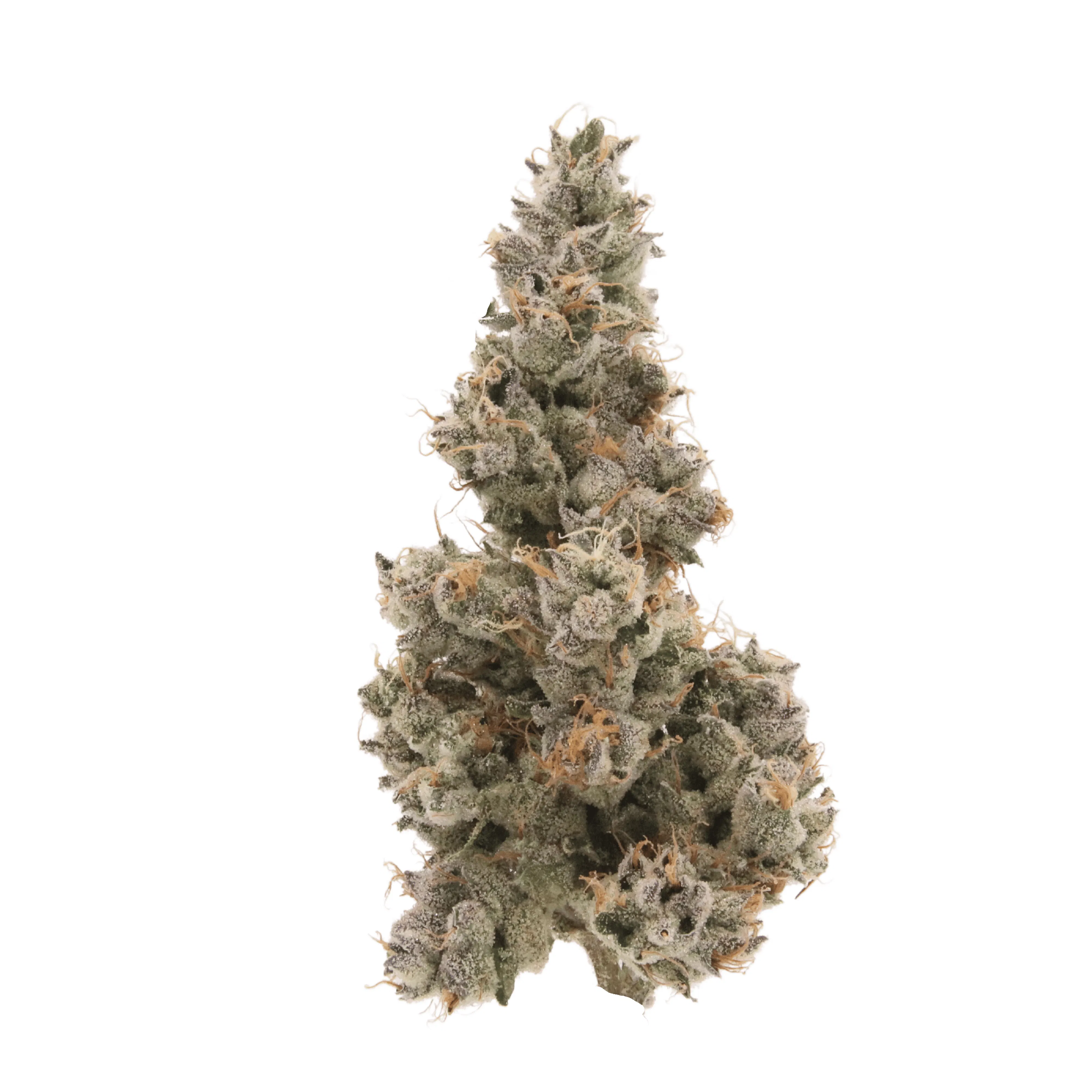Sense Grown - Sense - Sour Diesel - 3.5g Flower Main Image