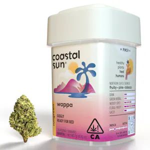 COASTAL SUN - Coastal Sun Wappa 7g Flower
