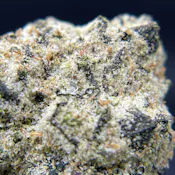 BLACK PEARL -  Purple Rain - Diamond Coated Indoor Flower - 3.5G
