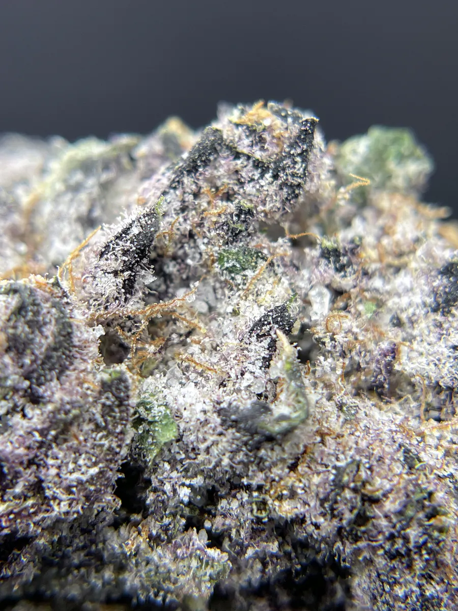 Twenty Two K / 22k - BLACK PEARL - Ghost OG (I) - 3.5g Main Image