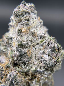 TWENTY TWO K / 22K - BLACK PEARL - Tropic Thunder - (S) 3.5G