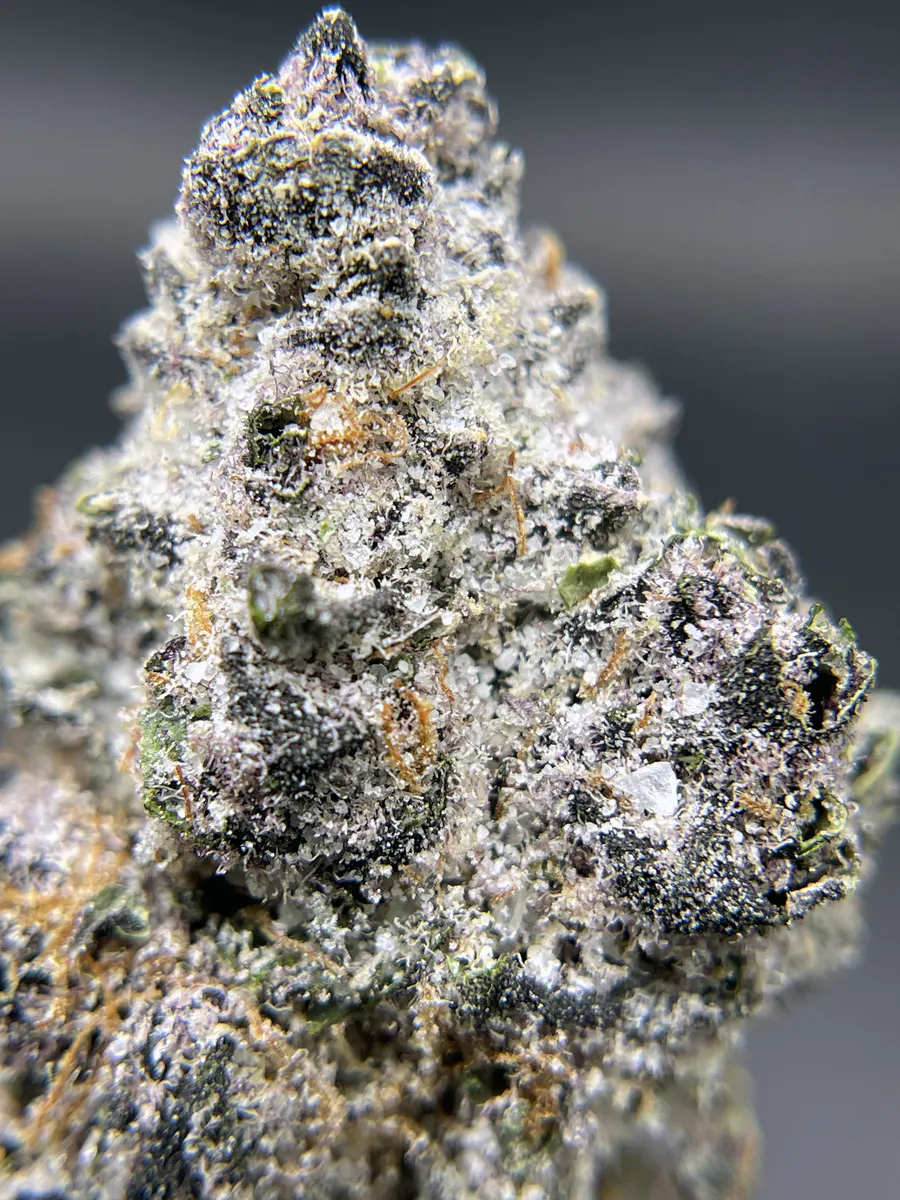Twenty Two K / 22k - BLACK PEARL - Tropic Thunder - (S) 3.5G Main Image
