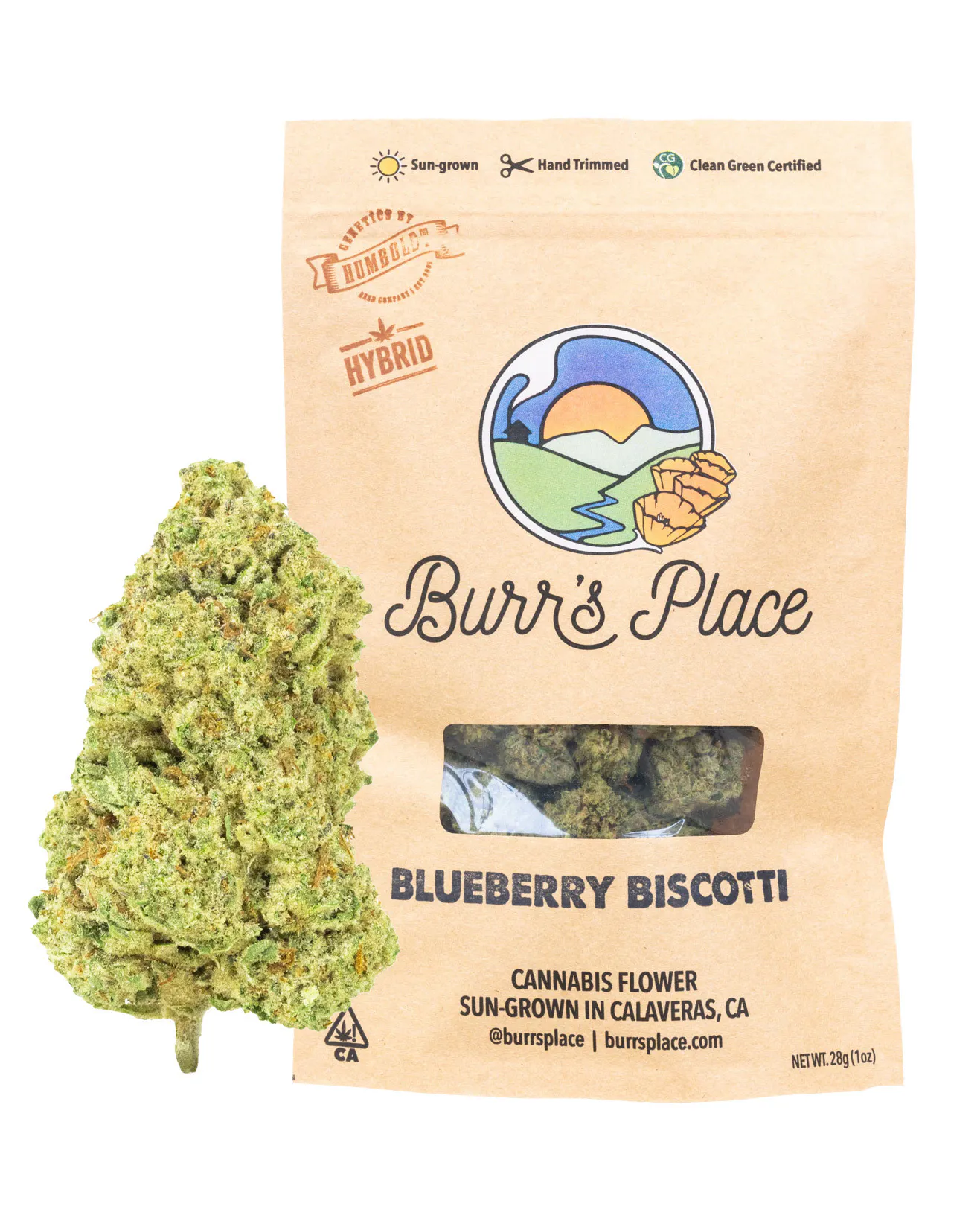 Burr's Place - BURRS PLACE | BLUEBERRY MUFFIN | FLOWER | 28G Main Image