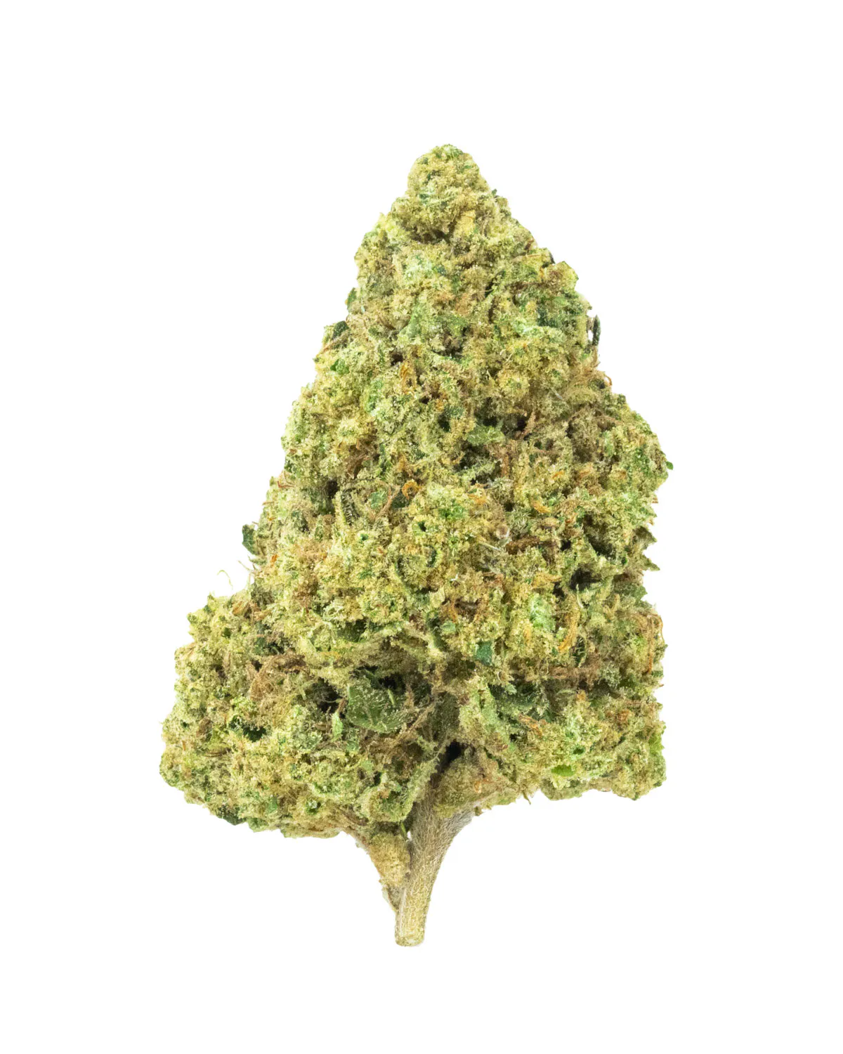 Burr's Place - Nimbus Snacks - Sativa (14g Bag) Main Image
