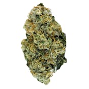Evidence™️ 8th - Emerald Fire OG - 3.5g