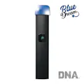 VAPE - 1g ALL IN ONE JUSTplay™ Blue Dream