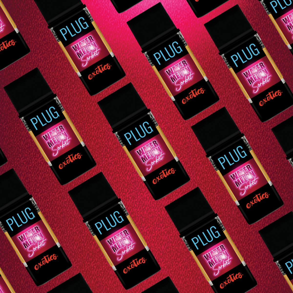 VAPE - 1g PLUG™ EXOTICS: Watermelon Sorbet - PLUGPLAY™