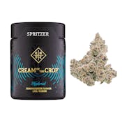 COTC - Spritzer | 3.5g Flower (Cream Of The Crop)