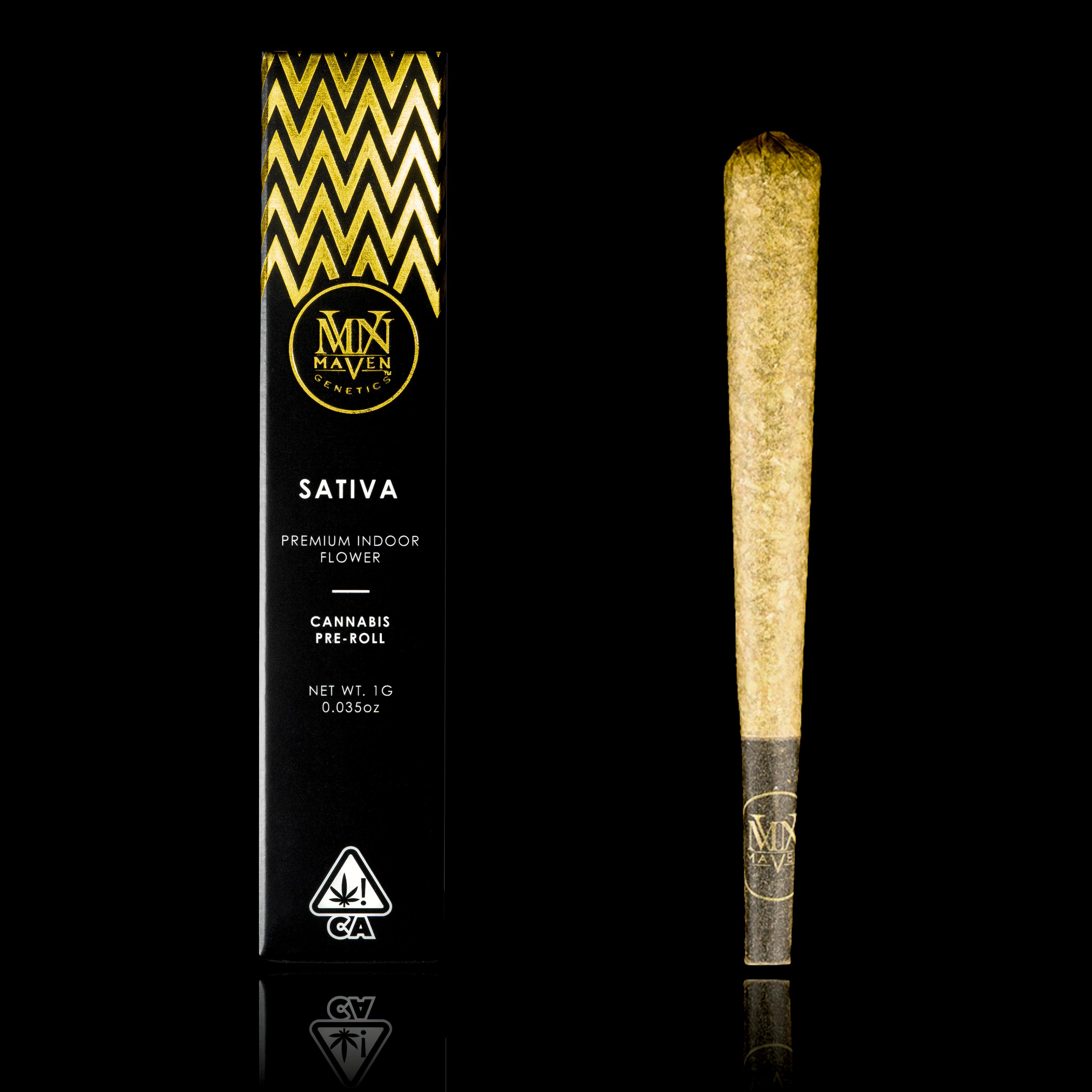 Maven Genetics: Orange Sapphire - - Maven Genetics