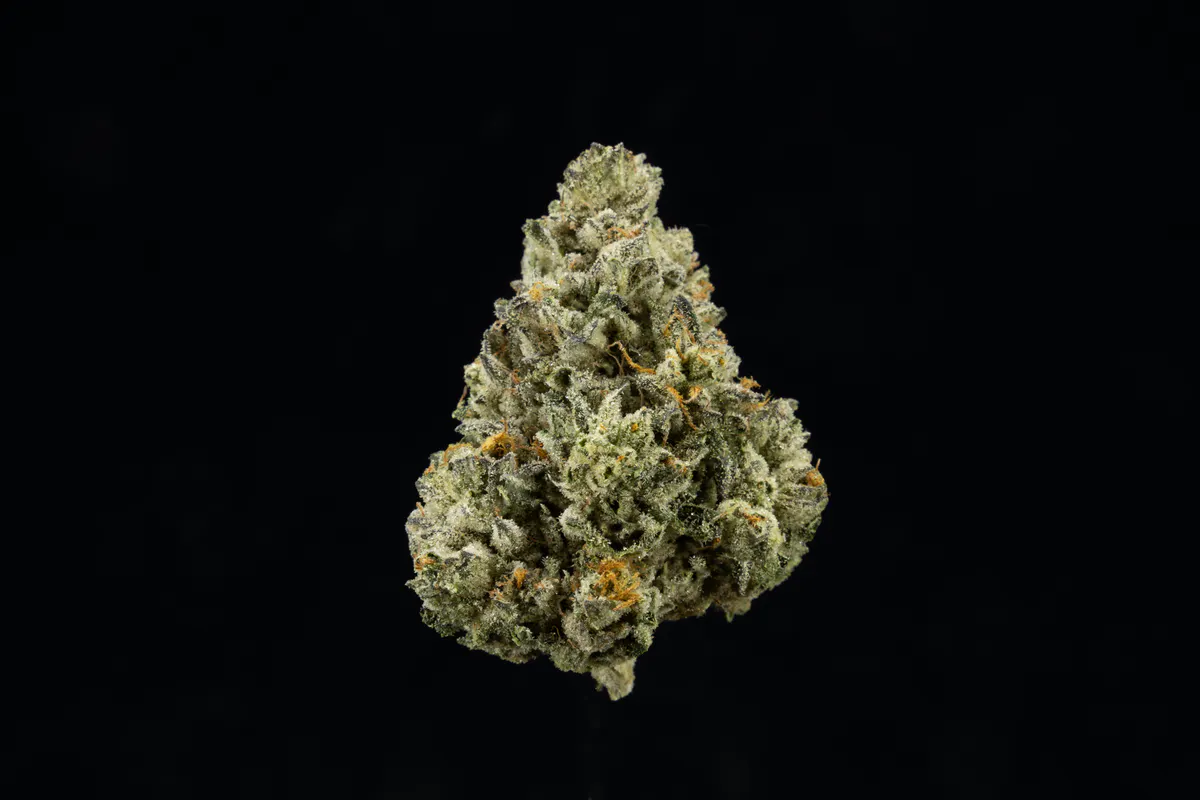 UpNorth - UpNorth - Hindu Kush - 3.5g Flower Main Image