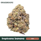 Grassroots Tropicana Banana 3.5g