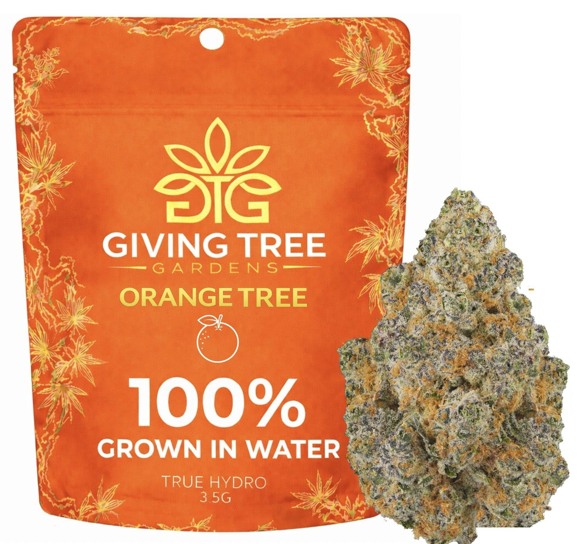 Orange Tree – Deli Flower | 100% WATER GROWN • TRUE HYDRO - Giving