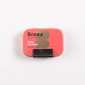 BREEZ | BERRY DAYTIME MINTS - 20PK | EDIBLE | 100MG