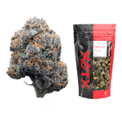 XOTX Black Lemon Cherry Gelato 28G Flower