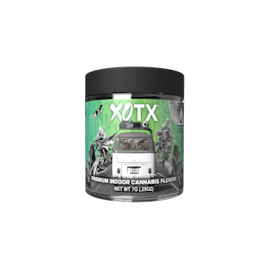 XOTX - XOTX - Flower - Lemon Cherry Gelato - 7G