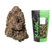 XOTX | Lemon Cherry Gelato | 28g Bag