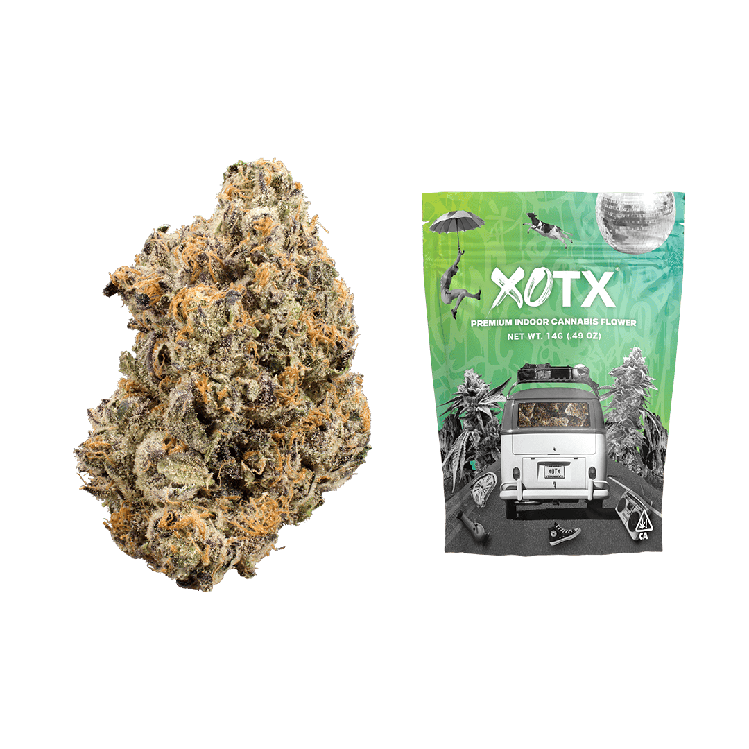Jet Fuel Gelato 14G - XOTX