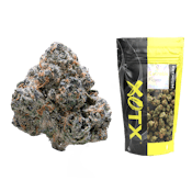 Jet Fuel Gelato 28G