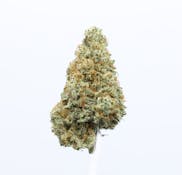UPNORTH | TRAINWRECK | FLOWER | 3.5G