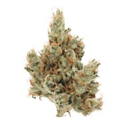 SENSE | SOUR DIESEL X HEADBAND | FLOWER | 3.5G