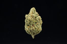 UPNORTH | HEADBAND | FLOWER | 3.5G