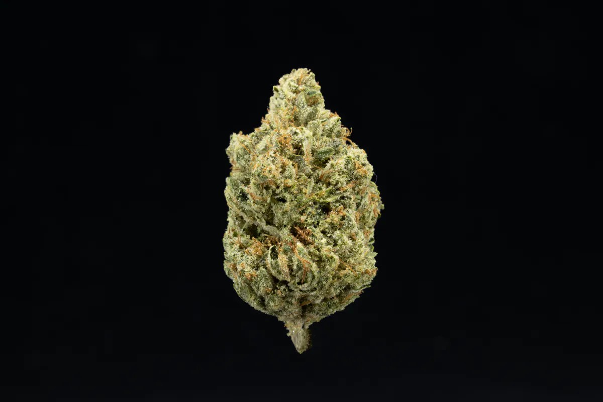 UpNorth - UpNorth - Headband - 3.5g Flower Main Image