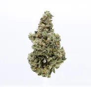 UPNORTH - PINEAPPLE EXPRESS PRE-ROLL 1G