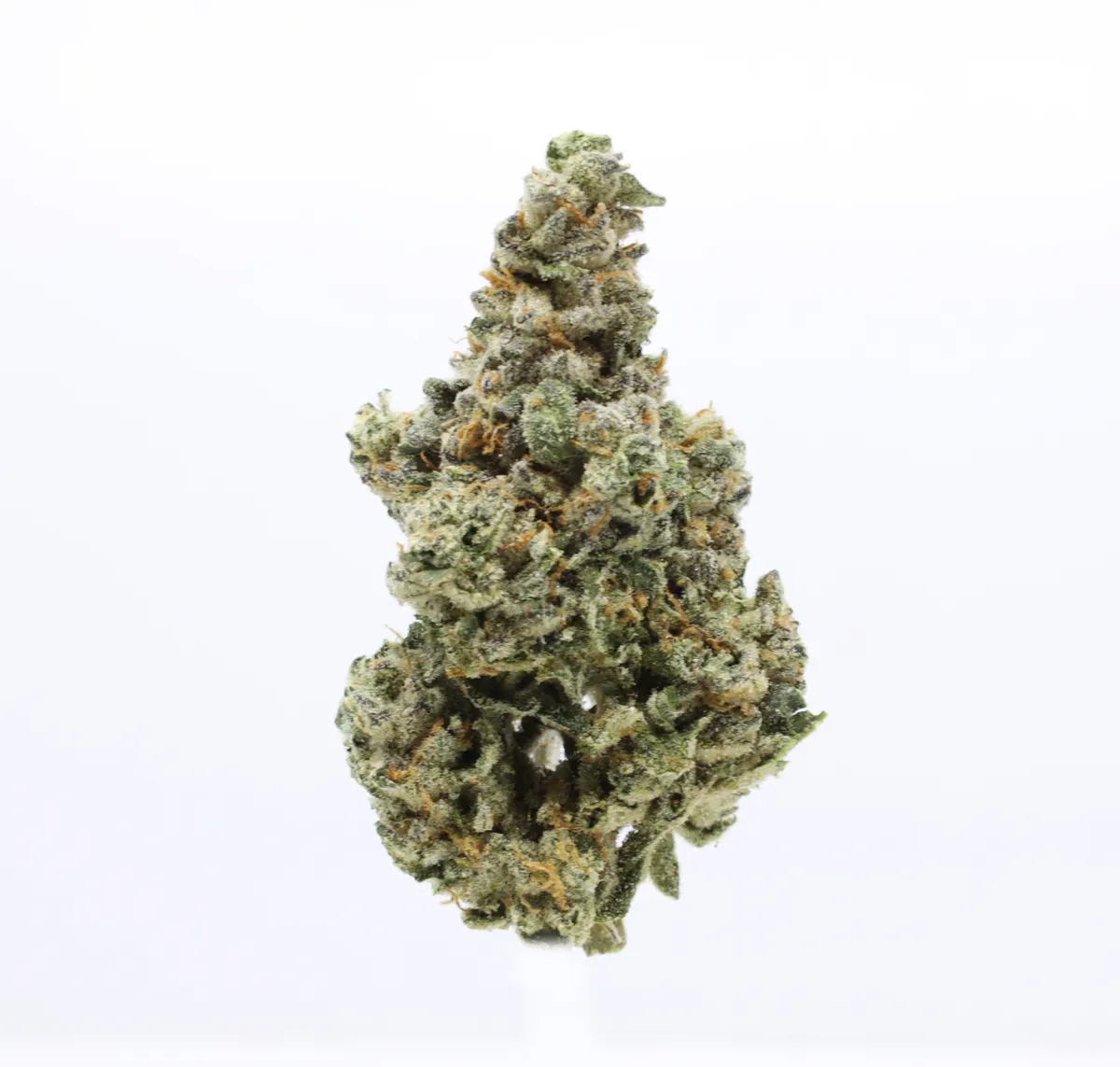 UpNorth - UPNORTH - PINEAPPLE EXPRESS PRE-ROLL 1G Main Image