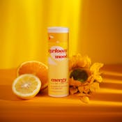 Energy 0.5g All-In-One Vape
