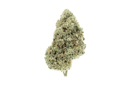 Humboldt OG