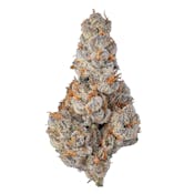 SENSE | EL CHIVO #5 | FLOWER | 3.5G