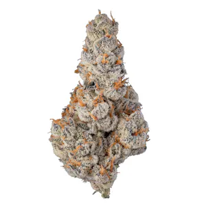 Sense - SENSE | EL CHIVO #5 | FLOWER | 3.5G