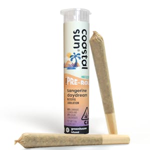 COASTAL SUN - Coastal Sun Infused Prerolls 2pk 1.5g - Tangerine Daydream 54%