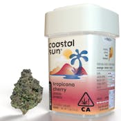 Coastal Sun Greenhouse Tropicana Cherry 3.5g Flower