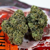 Ted Budz | Oxtails | 3.5g Indica