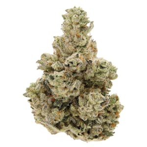 SENSE - SENSE | MOTORBREATH | FLOWER | 3.5G