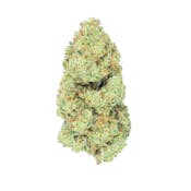 Burr's Place | Kush Crasher - 3.5g