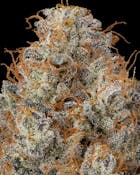 Diesel Delight | Firefly Organics