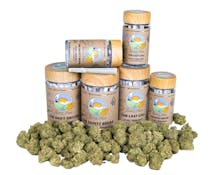 Burr’s Place | The Daily Driver - 10pk (5g) Sativa Blend Pre-Roll Jar