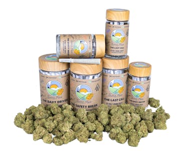 BURR'S PLACE - The Daily Driver [S] Pre-roll10pk (5g) Jar