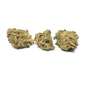 Molotov Cocktail 1OZ