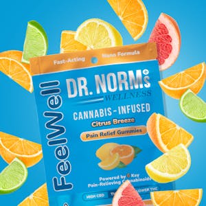 DR. NORM'S - DR. NORMS - Fee Well - Citrus Breeze Pain Relief Gummies (THC/THCV/CBD)