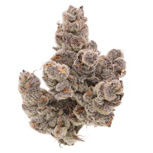 Sense Grown - Sense - Piescream