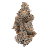SENSE | GUAVA BOMBA | FLOWER | 3.5G