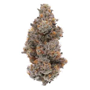 Sense Grown - Sense - Guava Bomba - 3.5g Flower