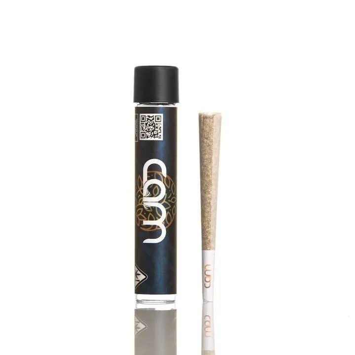 CAM - CAM | Pre-roll - Bubba's Girl | 1g Main Image