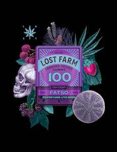 Kiva Confections - Lost Farm - Triple Berry x Fatso - Live Rosin 1 piece Gummy - 100mg